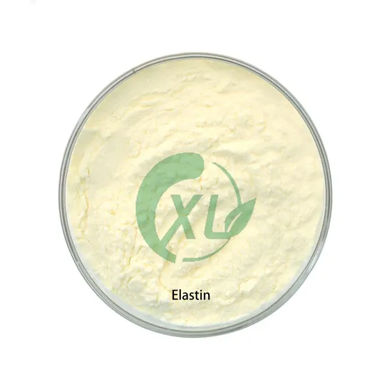 Elastin Powder Cosmetic CAS 9007